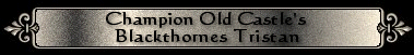 Ch. Old Castle's Blackthornes Tristan