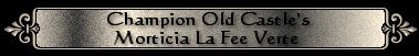 Champion Old Castle's Morticia La Fee Verte