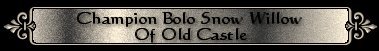 Champion Bolo Snow Willow of Old Castle