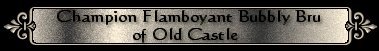 Champion Flamboyant Bubbly Bru of Old Castle