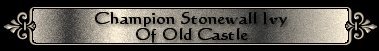 Champion Old Castle's Stonewall Ivy